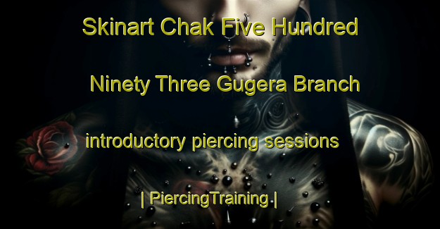 Skinart Chak Five Hundred Ninety Three Gugera Branch introductory piercing sessions | PiercingTraining | PiercingClasses | SkinartTraining-Pakistan